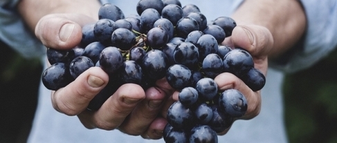 PACK 3 COURS AFTERWORK DU VIN - 75€